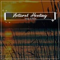 #16 Natural Healing Songs to Relax
