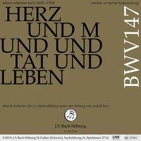 Herz und Mund und Tat und Leben, BWV 147: IV. Rezitativ (Bass) - Verstockung kann Gewaltige verblenden