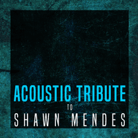 Acoustic Tribute to Shawn Mendes