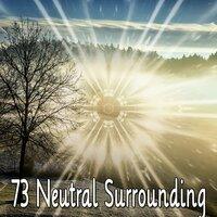 73 Neutral Surrounding
