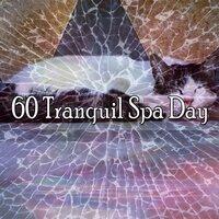 60 Tranquil Spa Day