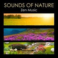 Sounds of Nature Zen Music - Relaxing Nature Music for Zen Meditation, Chakra Balancing, Body Mind Connection, Yoga, Massage, Sauna, Relaxation, Deep Sleep & Relax