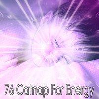 76 Catnap For Energy