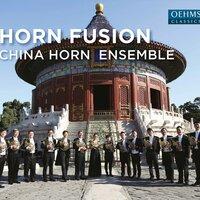 Horn Fusion