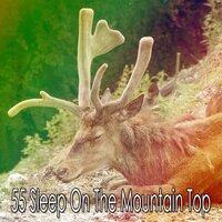 55 Sleep on the Mountain Top