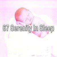 67 Serenity in Sleep