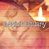 41 Spirit Estuary