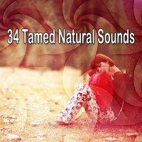 34 Tamed Natural Sounds