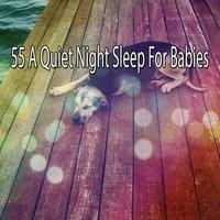 55 A Quiet Night Sleep For Babies