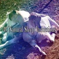 40 Natural Sleep Inductions