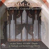 Stumm-Orgeln in der ehemaligen Grafschaft Sponheim