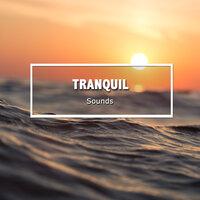 #15 Tranquil Sounds to Calm the Mind