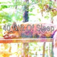 40 Gift of Sleep