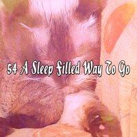 54 A Sleep Filled Way To Go