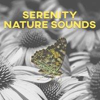 Serenity Nature Sounds – Bsckground Music for Sleep, Deep Sounds for Meditation, Soothing Sounds for Relaxation