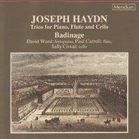Haydn: Trios for Piano, Flute & Cello