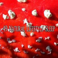 49 Natural Lifestyle Sleep