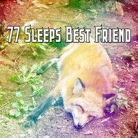 77 Sleeps Best Friend