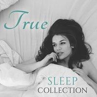 True Sleep Collection - Ambient New Age Music for Sleep, Relaxation Sounds for Easy Sleep