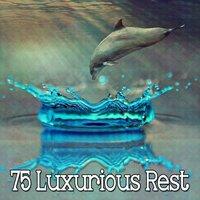 75 Luxurious Rest