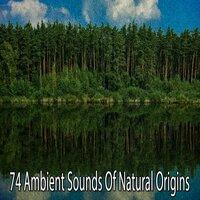 74 Ambient Sounds of Natural Origins