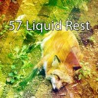 57 Liquid Rest