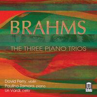Brahms: The 3 Piano Trios
