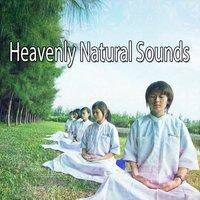 Heavenly Natural Sounds