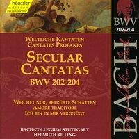 Bach, J.S.: Secular Cantatas, Bwv 202-204
