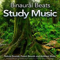 Binaural Beats Study Music: Nature Sounds, Forest Sounds and Ambient Music, Theta Waves, Alpha Waves  For Studying, Music For Reading, Focus, Concentration and Brainwave Entrainment