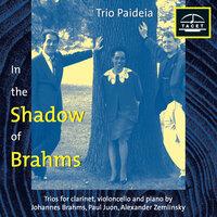 In the Shadow of Brahms