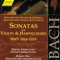 Sonata No. 6 for Violin & Harpsichord in G Major, BWV 1019: V. Allegro