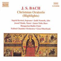 Christmas Oratorio, BWV 248, Pt. 3: Herr, dein Mitleid, dein Erbarmen