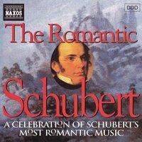 Schubert: Romantic Schubert (The)