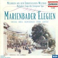 Orchestral Music - Manner, F. / Spohr, L. / Labitzky, J. / Kruttner, T. / Smetana, B. / Hoch, T.