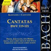 Bach, J.S.: Cantatas, Bwv 119-121