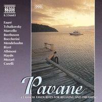 Pavane: Classical Favourites for Relaxing & Dreaming
