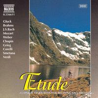 Etude - Classical Favourites for Relaxing and Dreaming