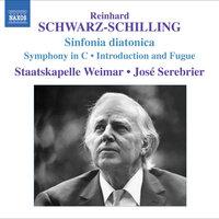 Schwarz-Schilling: Orchestral Works, Vol. 1