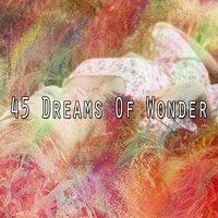 45 Dreams of Wonder