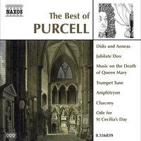 Purcell (The Best Of)