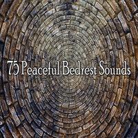 75 Peaceful Bedrest Sounds