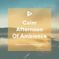Calm Afternoon Of Ambience