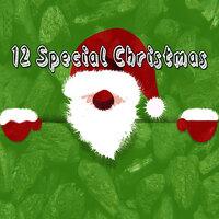 12 Special Christmas