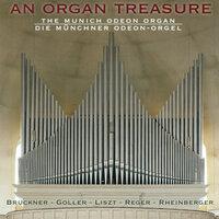 Organ Recital: Gotz, Andreas - Bruckner, A. / Goller, V. / Liszt, F. / Rheinberger, J.G. / Reger, M. (An Organ Treasure)