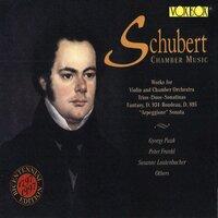 Schubert: Chamber Music