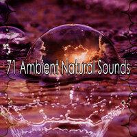 71 Ambient Natural Sounds