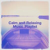 Calm and Relaxing Music Playlist