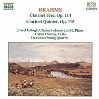Brahms: Clarinet Trio, Op. 114 / Clarinet Quintet, Op. 115