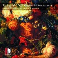 Telemann: Cantatas and Chamber Music